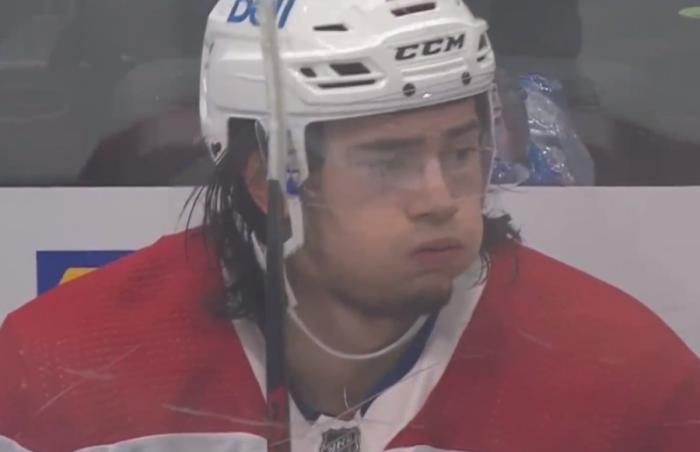 Alexander Romanov - Canadiens de Montréal - InStats Hockey