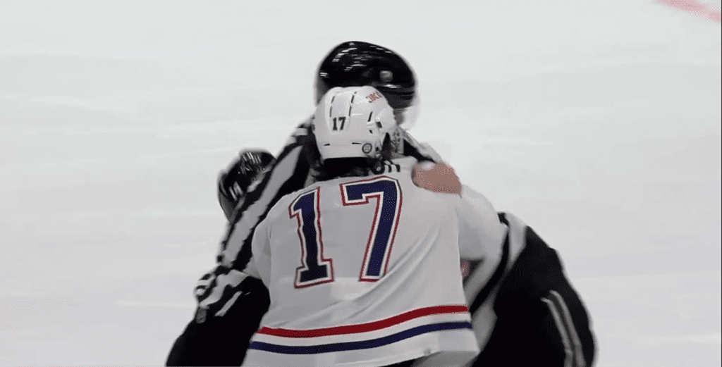 Canadiens - Josh Anderson - InStat Hockey