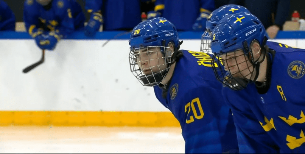 Liam Ohgren - InStat Hockey - u18